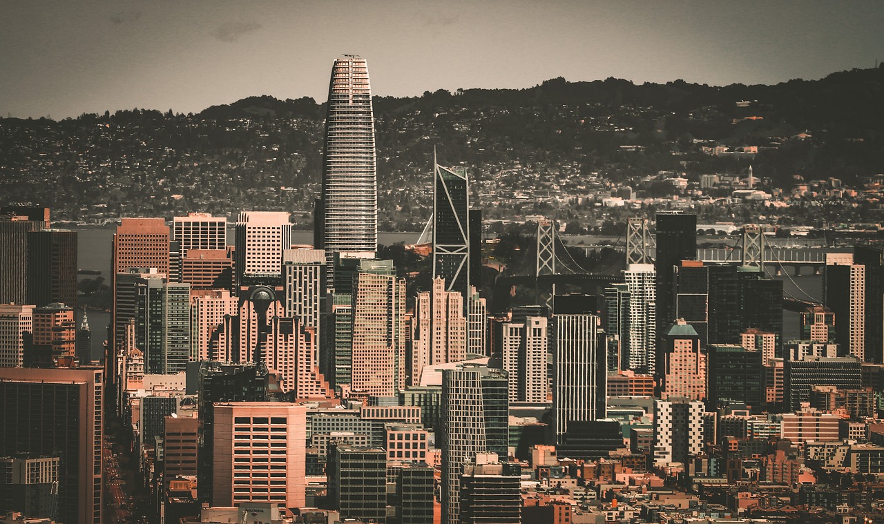 今年的比赛 今年的比赛