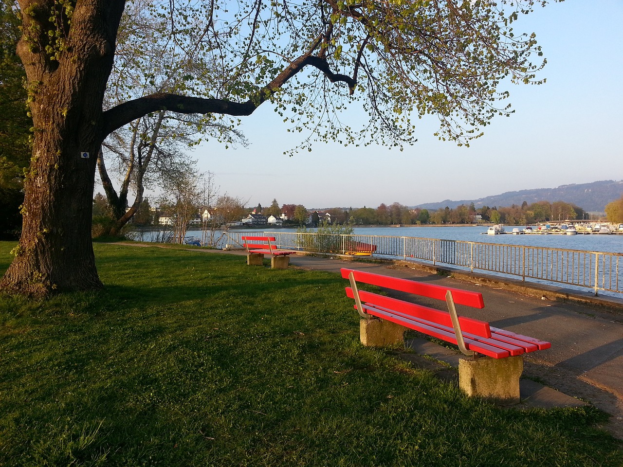 他经历了长 他经历了长