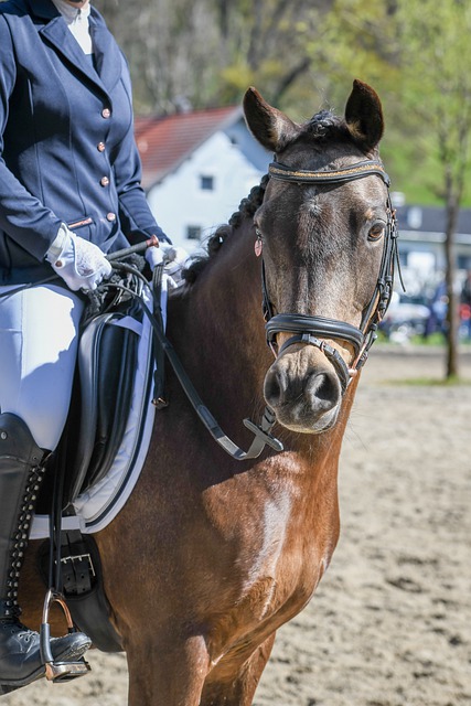 同时也跨越 同时也跨越