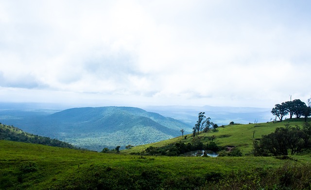 一个赛季失 一个赛季失