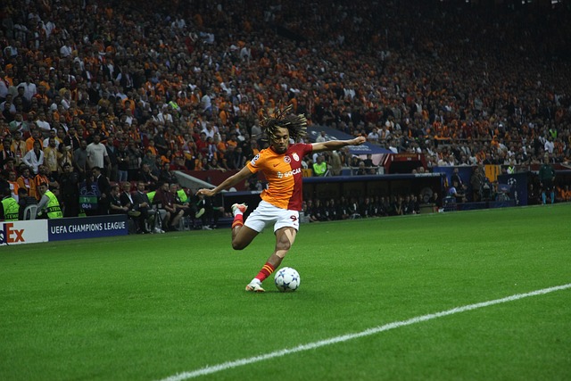 賽的崛起 賽的崛起