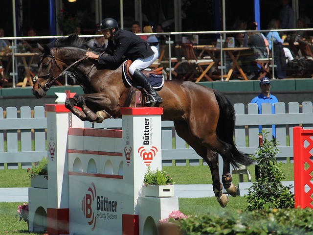 球员世界杯 球员世界杯