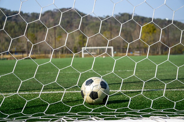 法与曼城等 法与曼城等