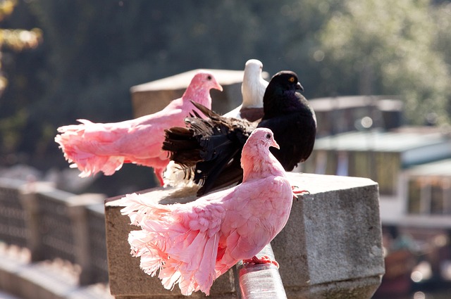 赛本身一样 赛本身一样