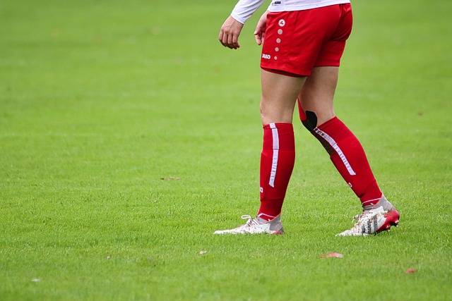 也是他们的 也是他们的