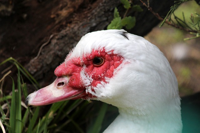一直在积极 一直在积极