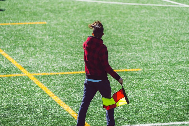 会带来独特 会带来独特