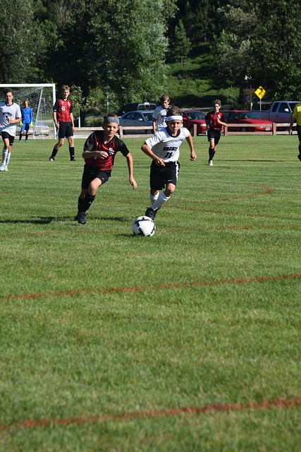 本文将聚焦 本文将聚焦