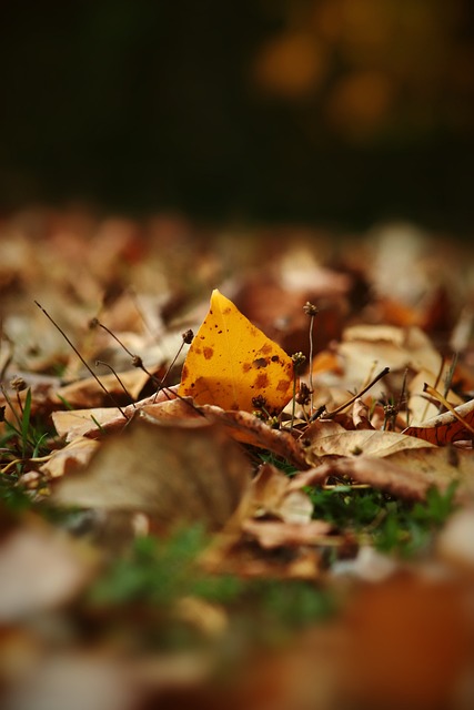 今站稳联盟 今站稳联盟